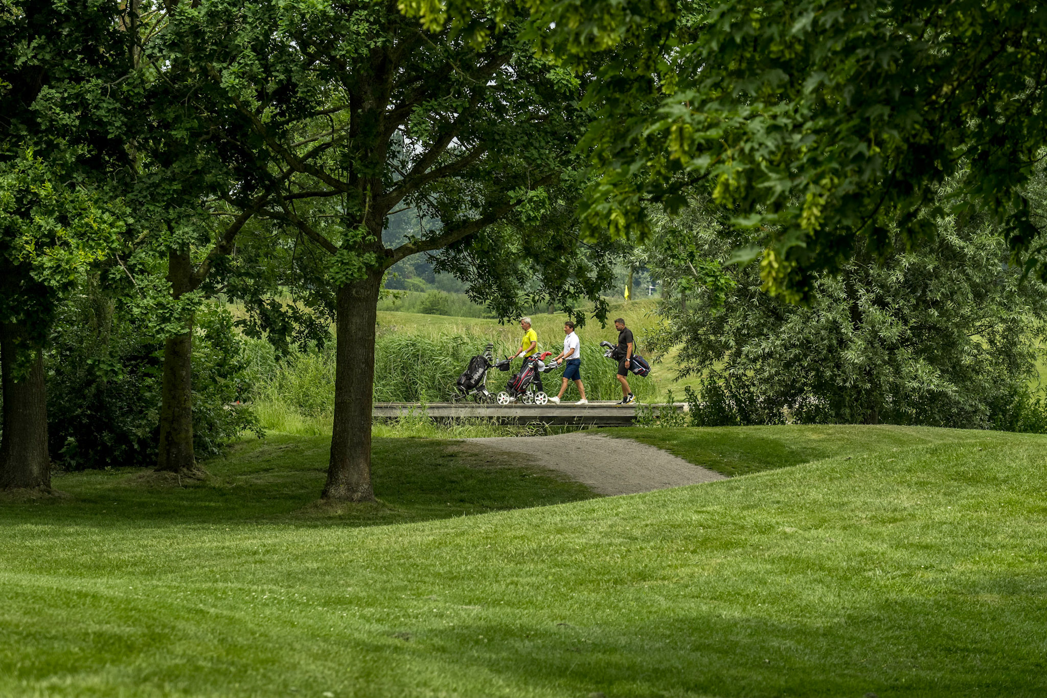 De Purmer, golfers op een bruggetje