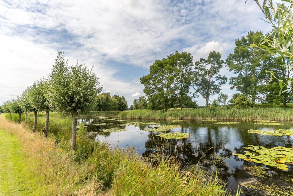 18 holes: gele lus ⇆ rode lus