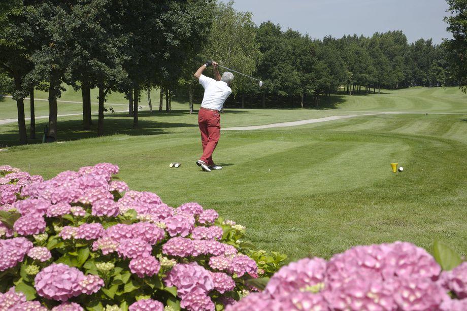 18 holes: blauwe lus ⇆ gele lus