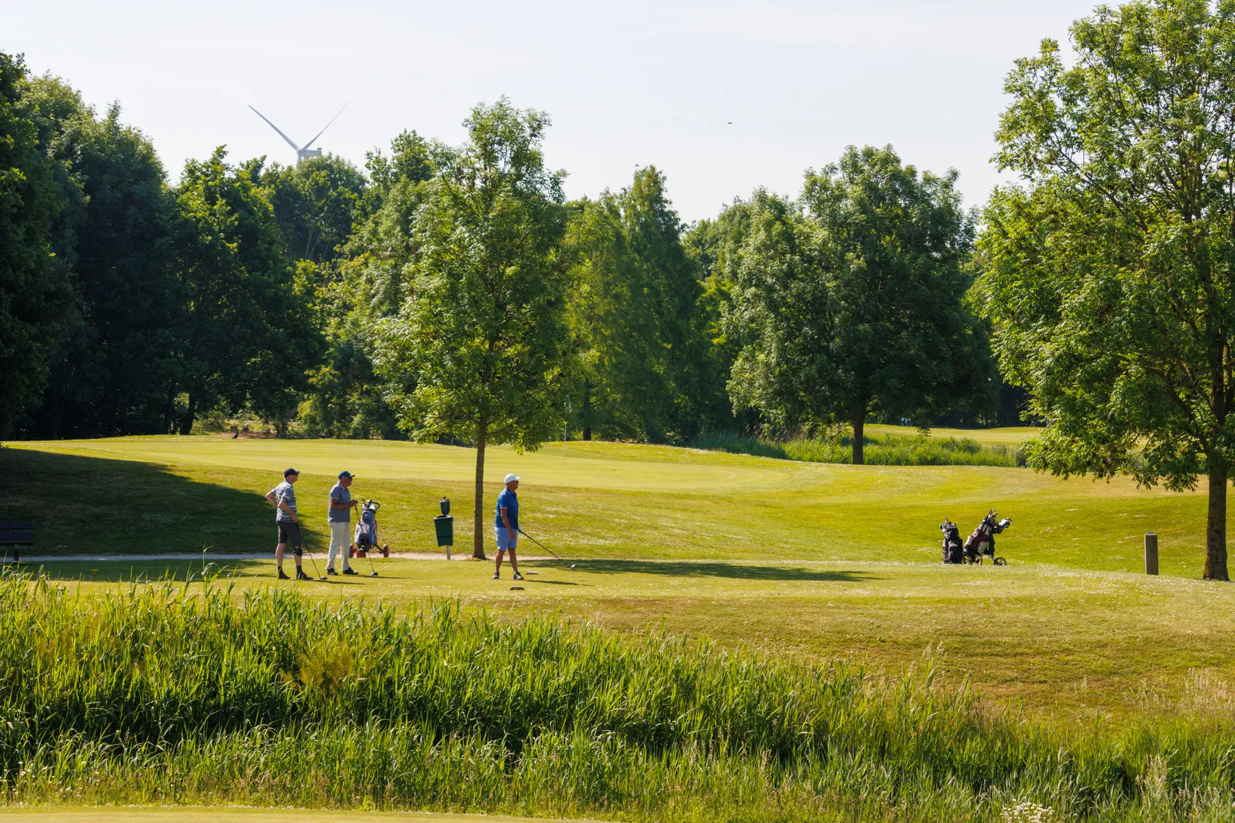 Golfpark Haverleij in de zomer