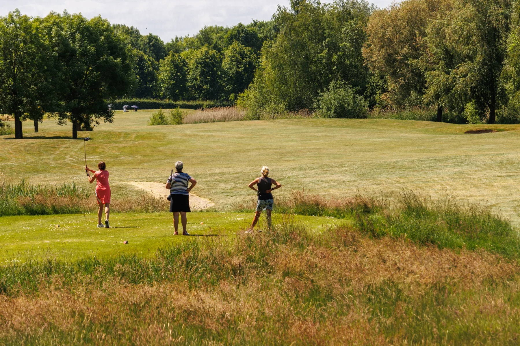 Golfers op de 9 holes kleine baan van Golfpark De Haverleij in een groene, open omgeving