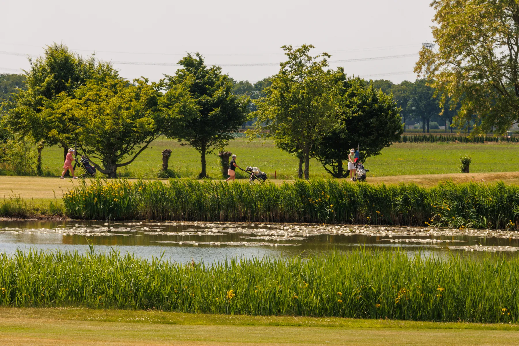 Golfers in de baan op De Loonsche Duynen
