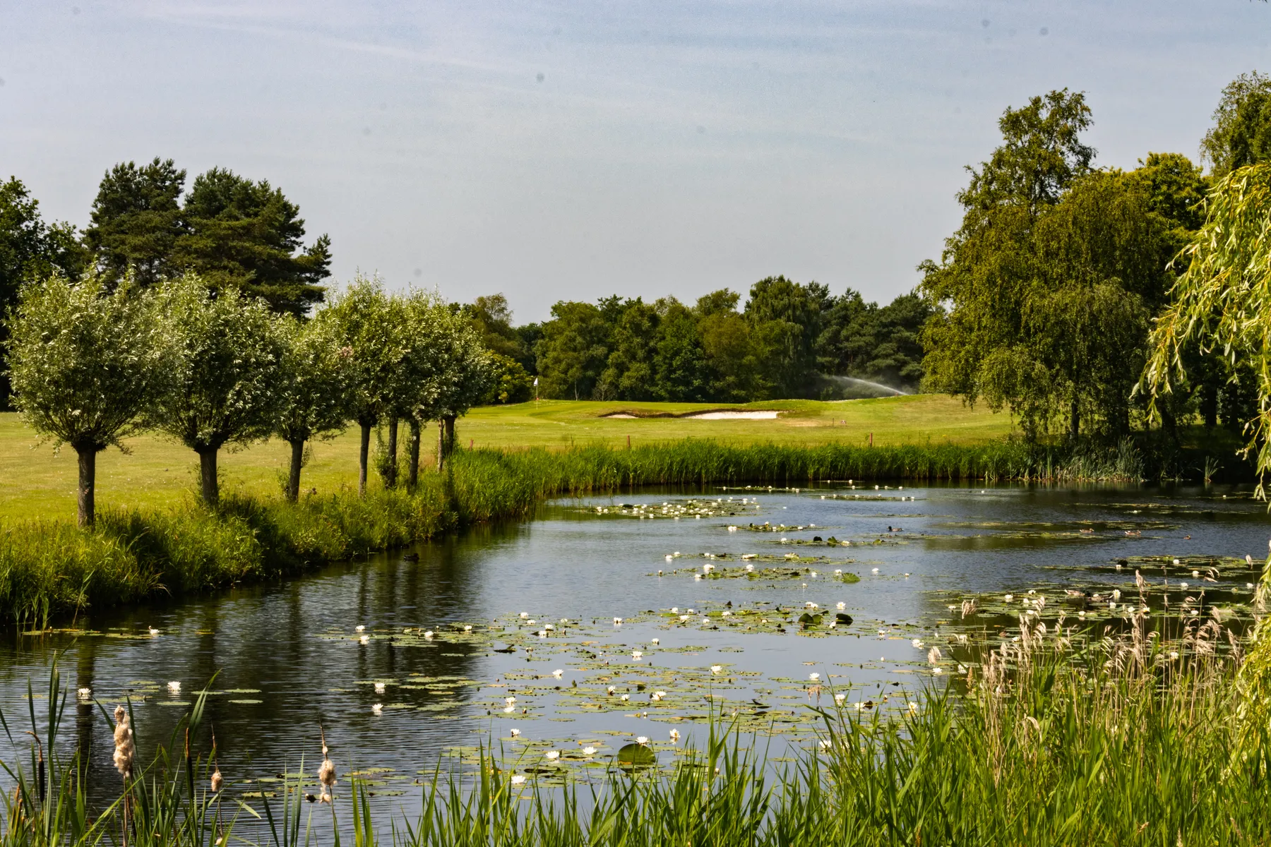 Sfeerimpressie van Golfpark Sint Nyk