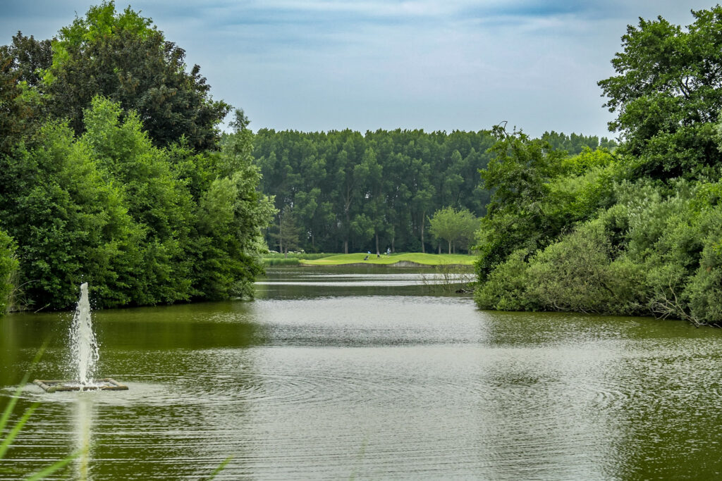 18 holes: rode lus ⇆ witte lus