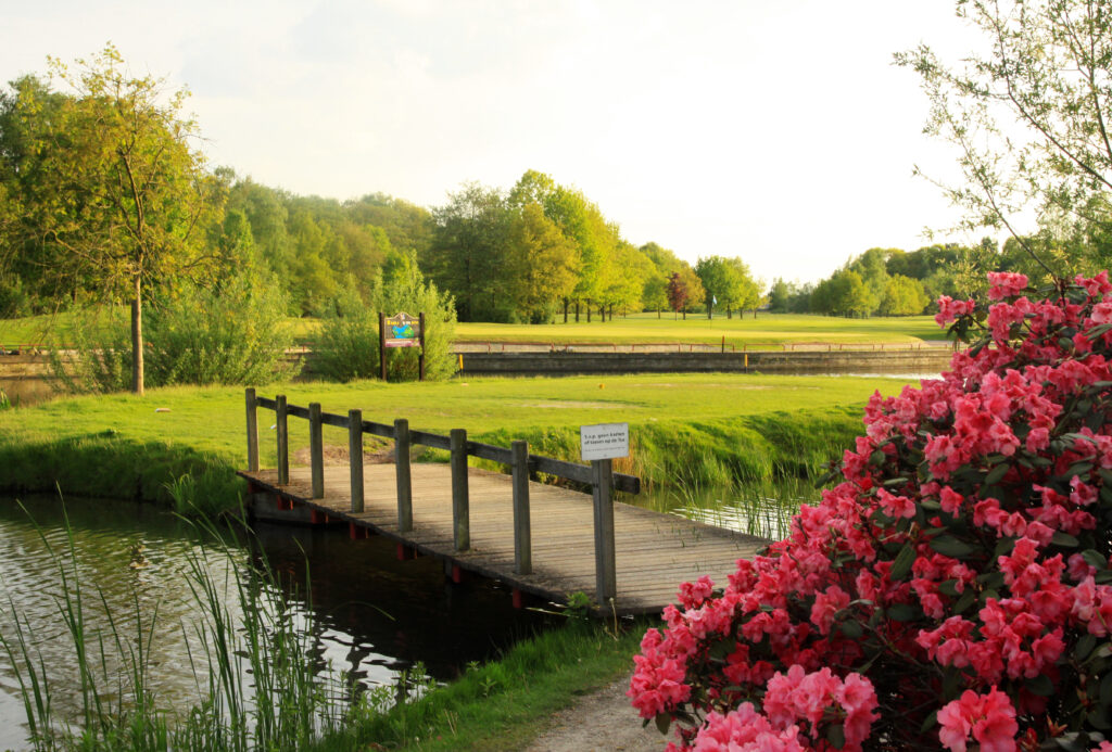 16 holes: gele lus ⇄ blauwe lus