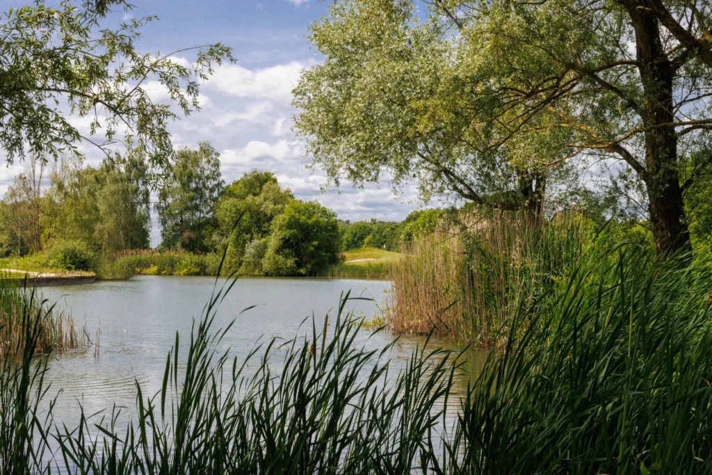 16 holes: rode lus ⇄ blauwe lus