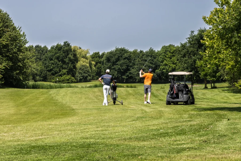 18 holes: witte lus ⇆ gele lus